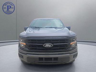 2026 Ford F-150 — side profile view
