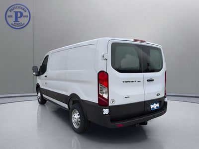 2026 Ford Transit Commercial — detail view