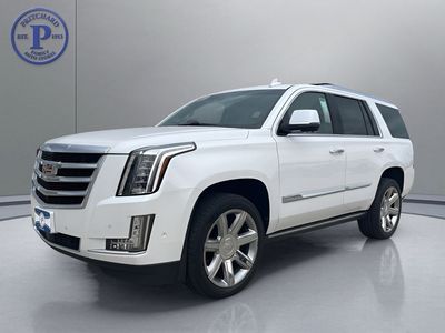2019 Cadillac Escalade — rear three-quarter view