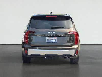 2024 Kia TELLURIDE — detail view
