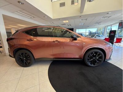 2025 Lexus NX — interior view