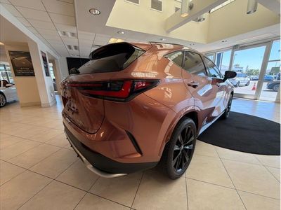 2025 Lexus NX — detail view