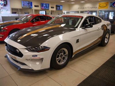 2018 Ford Mustang — side profile view