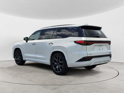 2025 Lexus TX 500h — detail view