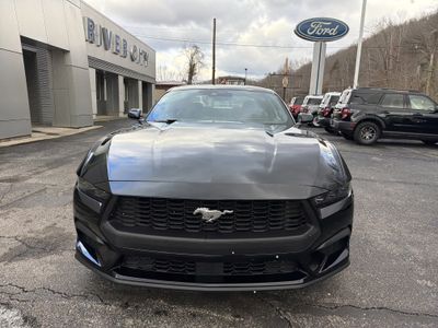 2026 Ford Mustang — side profile view