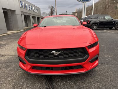 2026 Ford Mustang — side profile view