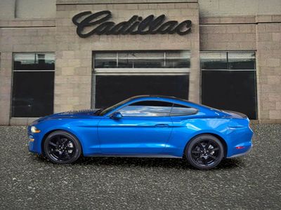 2019 Ford Mustang — side profile view