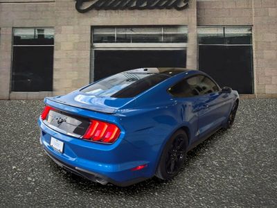 2019 Ford Mustang — detail view