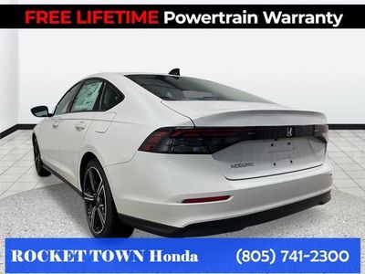 2026 Honda Accord — rear three-quarter view