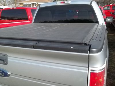 2010 Ford F-150 — detail view