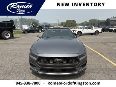 2026 Ford Mustang — side profile view