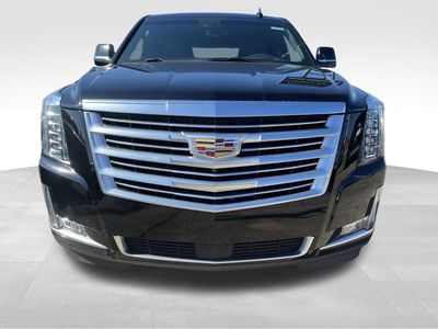 2019 Cadillac Escalade — side profile view