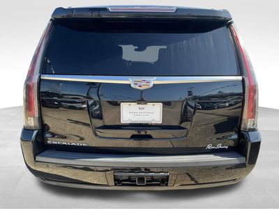 2019 Cadillac Escalade — detail view
