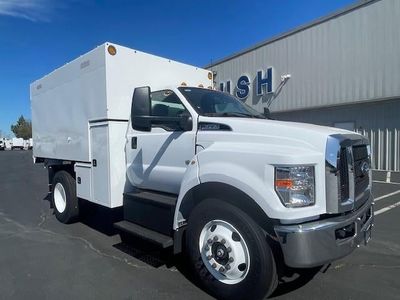 2025 Ford F-650 — detail view