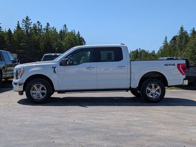 2021 Ford F-150 — rear three-quarter view