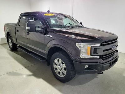 2019 Ford F-150 — side profile view