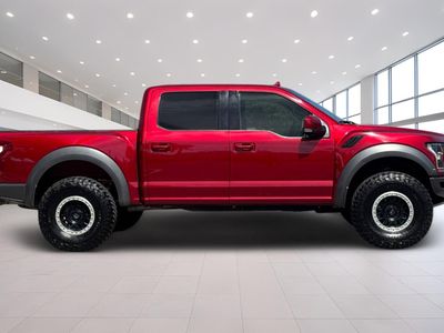 2019 Ford F-150 — rear three-quarter view