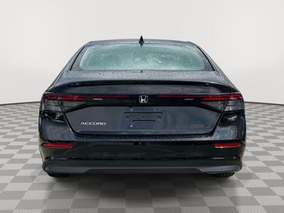 2024 Honda Accord — detail view