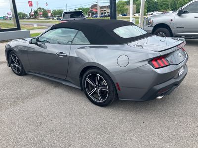 2025 Ford Mustang — detail view