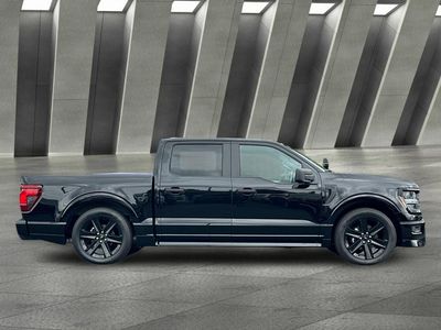 2025 Ford F-150 — side profile view