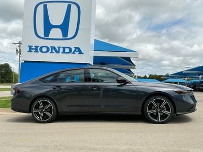 2026 Honda Accord — side profile view