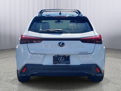 2024 Lexus UX — interior view
