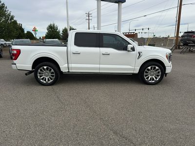 2021 Ford F-150 — detail view