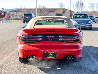 1995 Pontiac Firebird — detail view