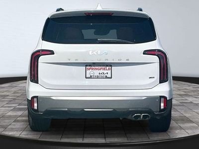 2023 Kia Telluride — detail view