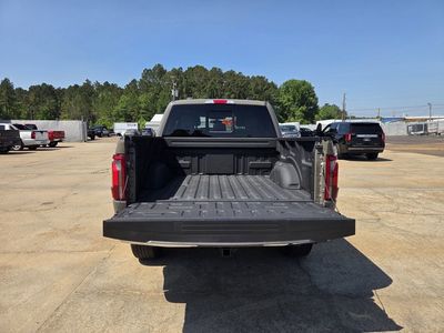 2025 Ford F-150 — detail view