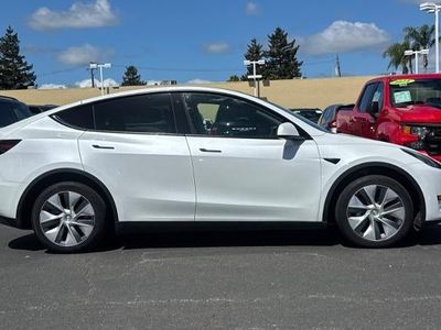 2023 Tesla Model Y — interior view