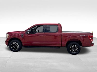 2022 Ford F-150 — interior view