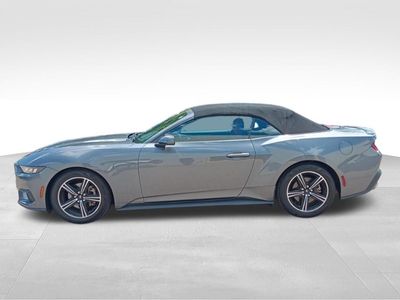 2024 Ford Mustang — interior view