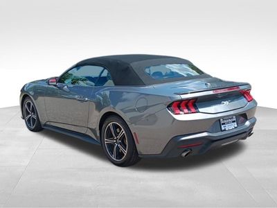 2024 Ford Mustang — detail view
