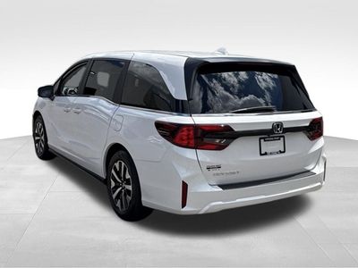 2025 Honda Odyssey — detail view