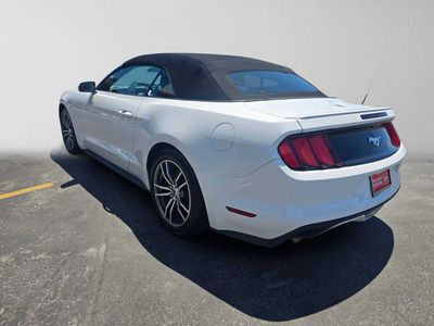 2017 Ford Mustang — detail view