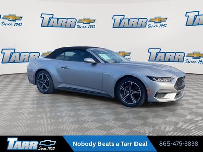 2025 Ford Mustang — side profile view