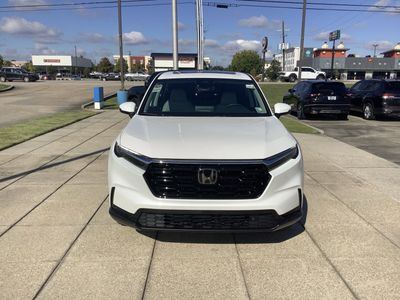 2026 Honda CR-V — side profile view