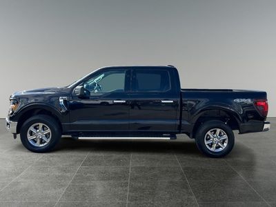 2025 Ford F-150 — detail view