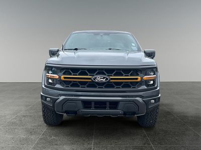 2025 Ford F-150 — side profile view