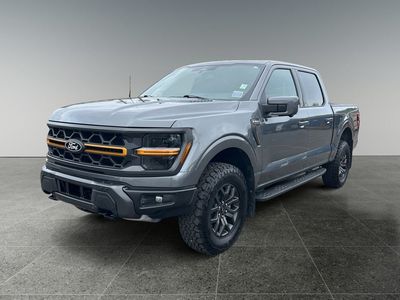 2025 Ford F-150 — rear three-quarter view