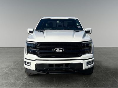 2025 Ford F-150 — side profile view