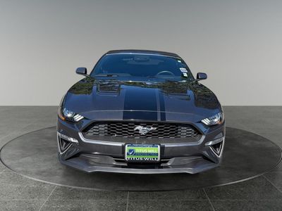 2019 Ford Mustang — side profile view