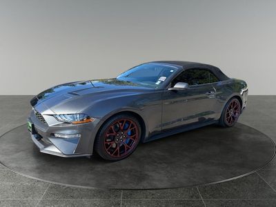 2019 Ford Mustang — rear three-quarter view