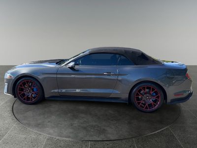 2019 Ford Mustang — detail view