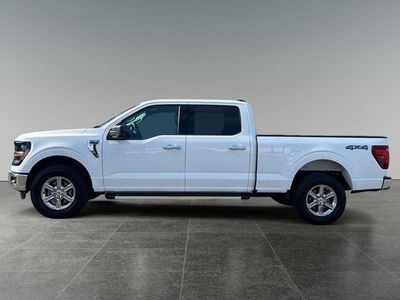 2025 Ford F-150 — detail view