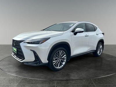 2025 Lexus NX — rear three-quarter view