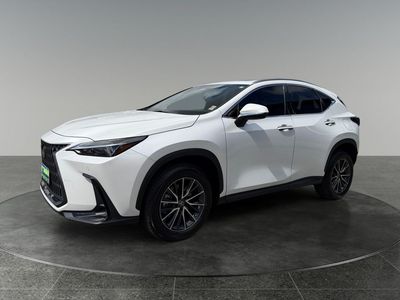 2023 Lexus NX — rear three-quarter view