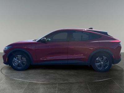 2023 Ford Mustang Mach-E — detail view