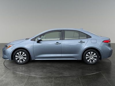2021 Toyota Corolla Hybrid — detail view